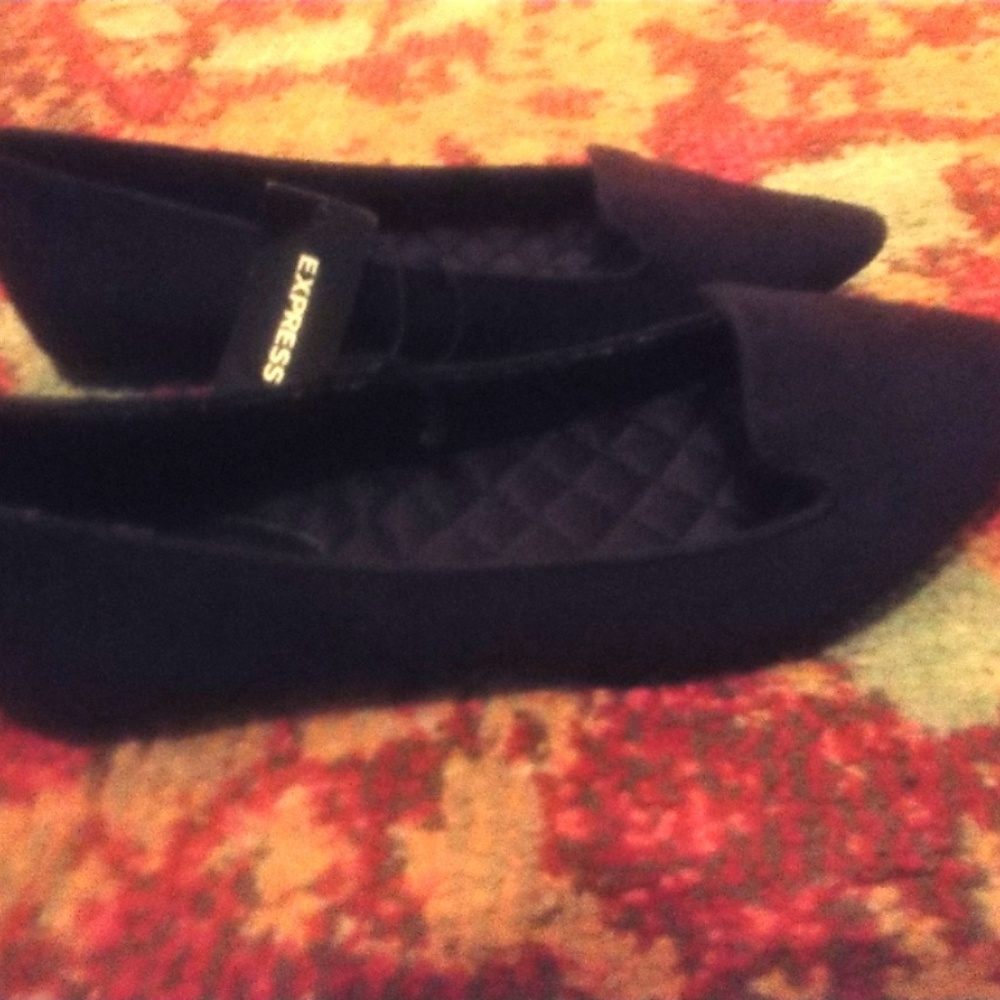Nwt Express size 7. Point toe flats